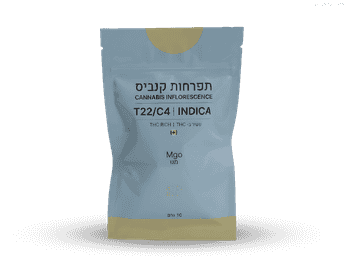 תפרחת מגו - T22/C4 - MGO