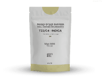 תפרחת מגו מיני - T22/C4 - MGO Mini