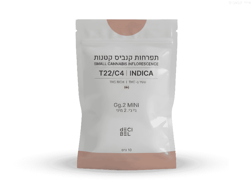קנאביס רפואי תפרחת ג'י ג'י.2 מיני - T22/C4 - Gg.2 Mini רפאנא לילה - אינדיקה