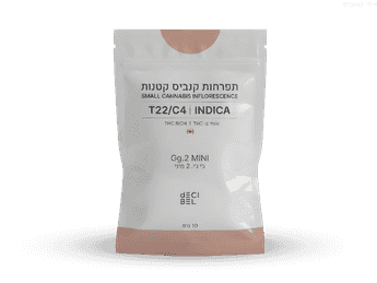 תפרחת ג'י ג'י.2 מיני - T22/C4 - Gg.2 Mini