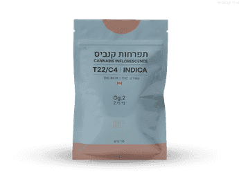 תפרחת ג'י ג'י.2 - T22/C4 - Gg.2
