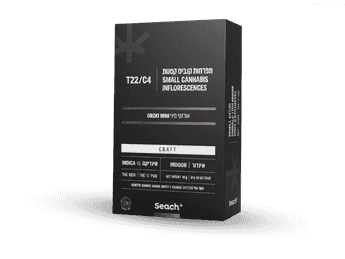 תפרחת אורזקי מיני - T22/C4 - Orzki Mini