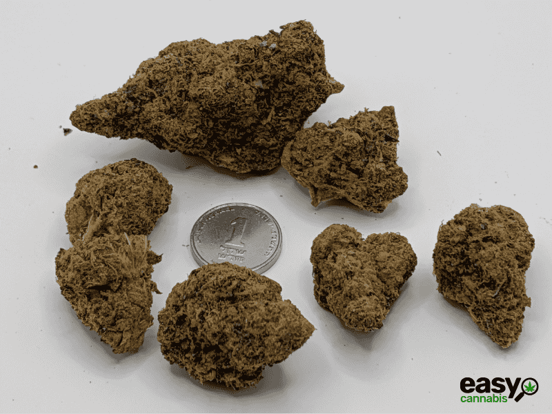 קנאביס רפואי תפרחת האמי ג'לטו - T22/C4 - Hemi Glto איי.אמ.סי לילה - אינדיקה