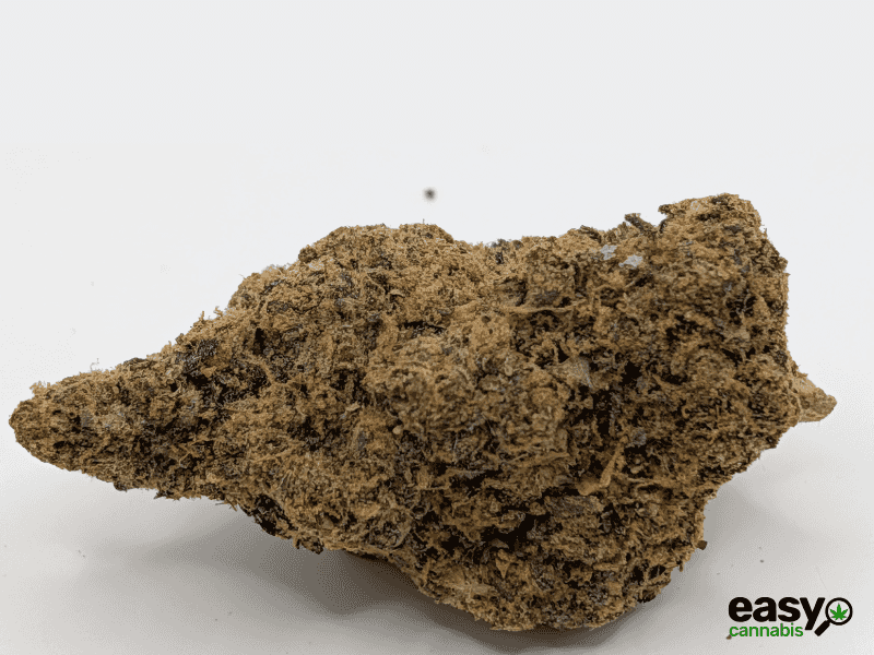 קנאביס רפואי תפרחת האמי ג'לטו - T22/C4 - Hemi Glto איי.אמ.סי לילה - אינדיקה