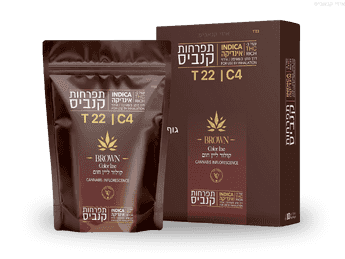 תפרחת קולור ליין חום - T22/C4 - Color Line BROWN