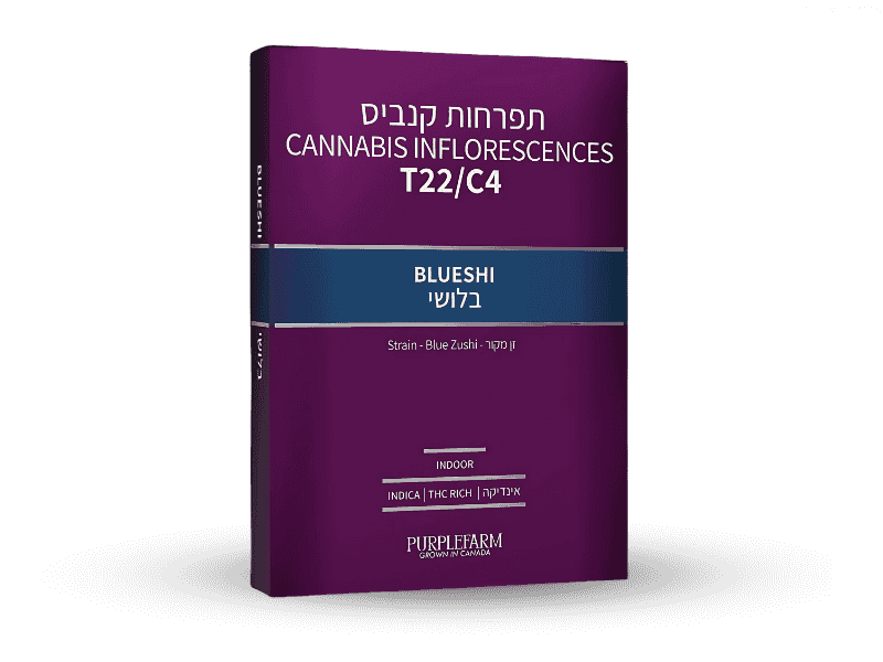 קנאביס רפואי תפרחת בלושי - T22/C4 - Blueshi קנדוק לילה - אינדיקה