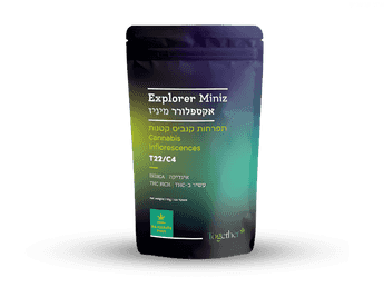 תפרחת אקספלורר מיניז - T22/C4 - Nocte