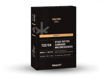 תפרחת גסטון - T22/C4 - Gaston