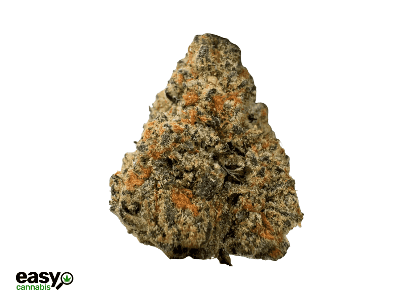 קנאביס רפואי תפרחת איי וי גי - T22/C4 - AVG גרין בויז יום\לילה - היברידי