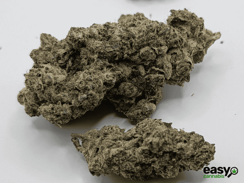 קנאביס רפואי תפרחת איי פי - T22/C4 - AP פלאנטק מדיקל לילה - אינדיקה