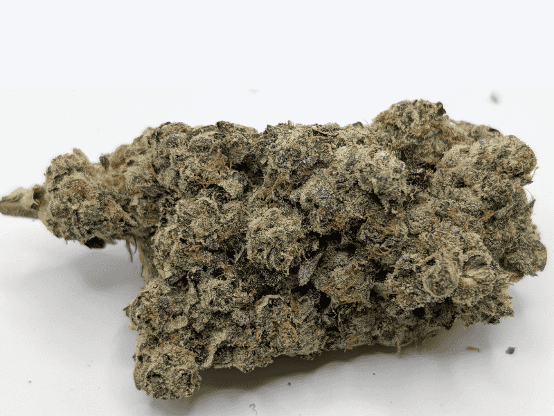 קנאביס רפואי תפרחת איי פי - T22/C4 - AP פלאנטק מדיקל לילה - אינדיקה