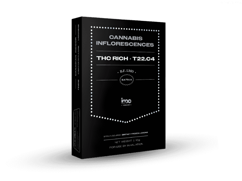 קנאביס רפואי תפרחת בי.אף למו - T22/C4 - B.F Lmo איי.אמ.סי יום - סאטיבה