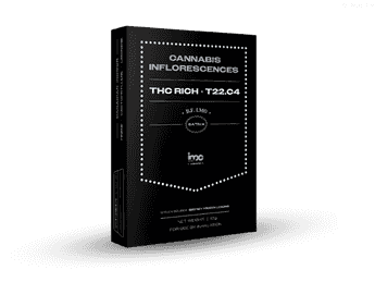 תפרחת בי.אף למו - T22/C4 - B.F Lmo