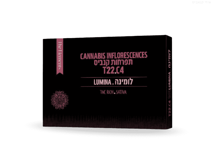 קנאביס רפואי תפרחת לומינה - T22/C4 - Lumina בזלת פארמה יום - סאטיבה