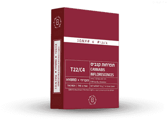 תפרחת ג'.ו.נ.י #6 - T22/C4 - J‎.‎O‎.‎N‎.‎Y‎ ‎#‎6