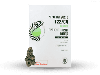 תפרחת בלאק אם מיני - T22/C4 - Black M Mini