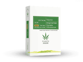 תפרחת אס.אל.אייץ' - T22/C4 - S.L.H