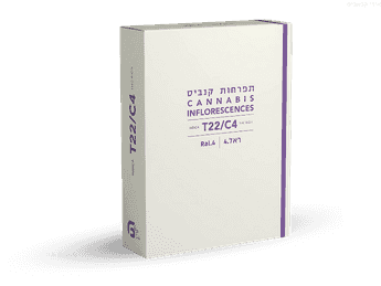 תפרחת ראל.4 - T22/C4 - RAL.4