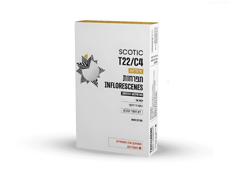 קנאביס רפואי תפרחת סקוטיק מיני - T22/C4 - Scotic Mini טריכום לילה - אינדיקה