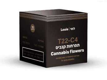 תפרחת לואי - T22/C4 - LOUIE