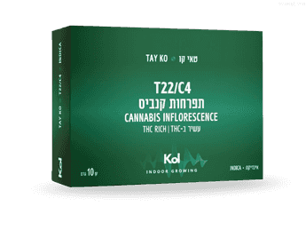 תפרחת טאי קו - T22/C4 - TAY KO