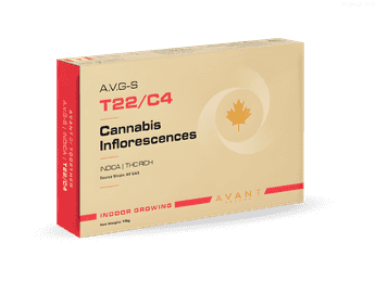 תפרחת איי.וי.ג'י-אס - T22/C4 - A.V.G-S