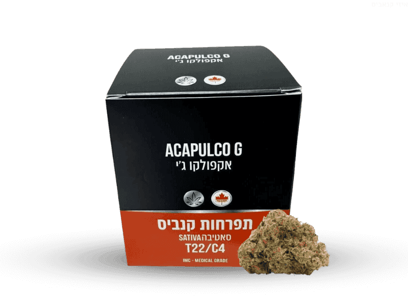 קנאביס רפואי תפרחת אקפולקו ג'י - T22/C4 - Acapulco G גרין האוס יום - סאטיבה