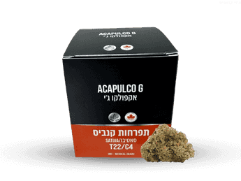 תפרחת אקפולקו ג'י - T22/C4 - Acapulco G