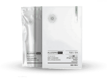 תפרחת אלגרו מיני - T22/C4 - Allegro Mini