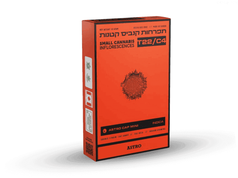 תפרחת אסטרו קאפ מיני - T22/C4 - Astro Cap Mini