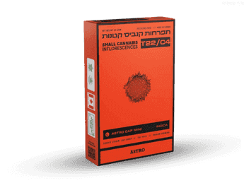 תפרחת אסטרו קאפ מיני - T22/C4 - Astro Cap Mini