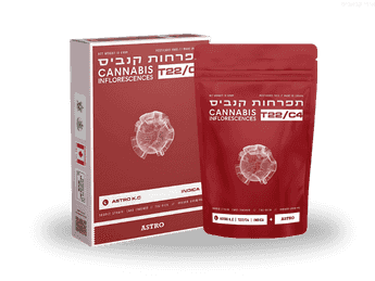 תפרחת אסטרו קיי.סי - T22/C4 - Astro K.C