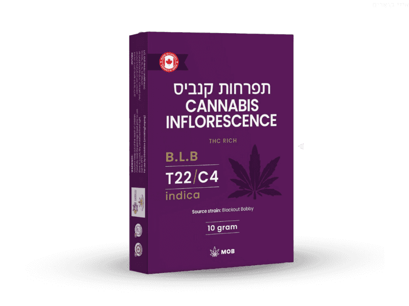 קנאביס רפואי תפרחת בי אל בי - T22/C4 - B.L.B מאסטרס אוף באדס לילה - אינדיקה