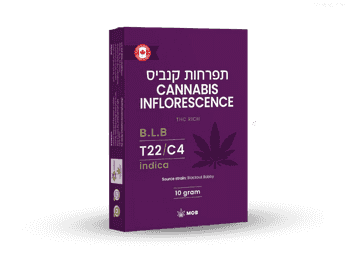 תפרחת בי אל בי - T22/C4 - B.L.B