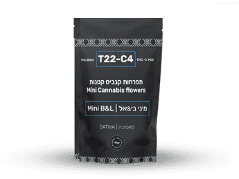 תפרחת בי&אל מיני - T22/C4 - B&L Mini