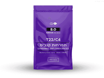 תפרחת בי.או - T22/C4 - B.O