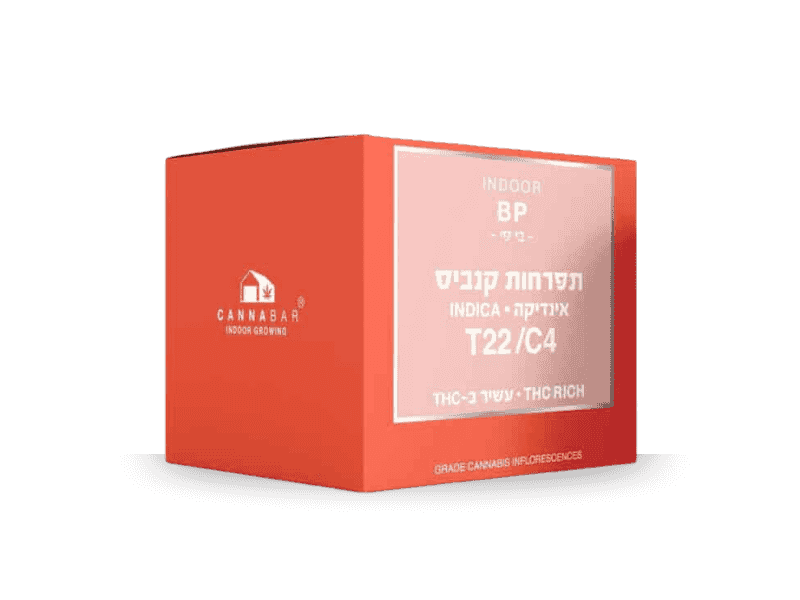 קנאביס רפואי תפרחת בי.פי - T22/C4 - B.P קנאבר לילה - אינדיקה