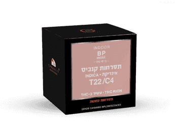 תפרחת בי.פי מיני - T22/C4 - B.P Mini