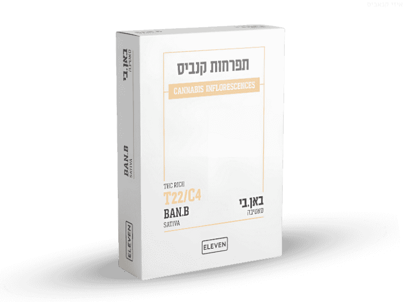 תפרחת באן.בי - T22/C4 - Ban.B