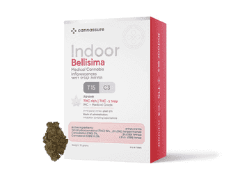 תפרחת בליסימה מינון - T15/C3 - Bellisima