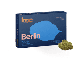 תפרחת ברלין - T20/C4 - Berlin