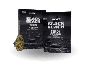 תפרחת בלאק ביץ' - T20/C4 - Black Beach