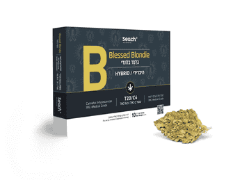 תפרחת בלסד בלונדי - T20/C4 - Blessed Blondie