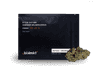 תפרחת בלאק מלק - T22/C4 - Blk Mlk