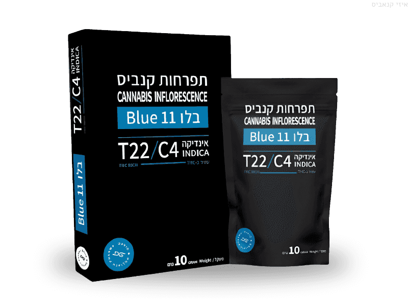 תפרחת בלו 11 - T22/C4 - Blue 11