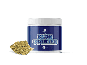 תפרחת בלו קוקיז - T20/C4 - Blue Cookies