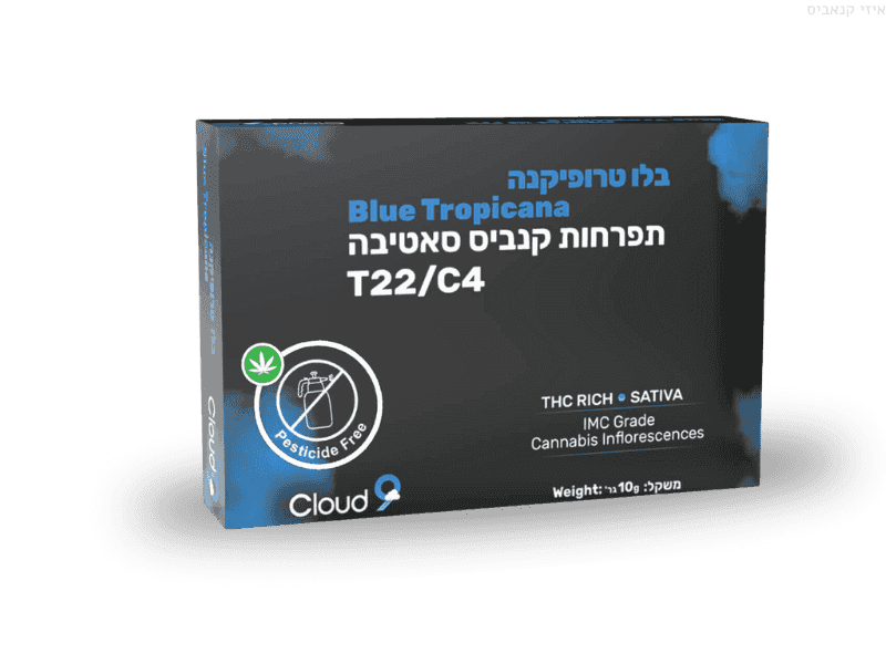 קנאביס רפואי תפרחת בלו טרופיקנה - T22/C4 - Blue Tropicana גרינקום יום - סאטיבה