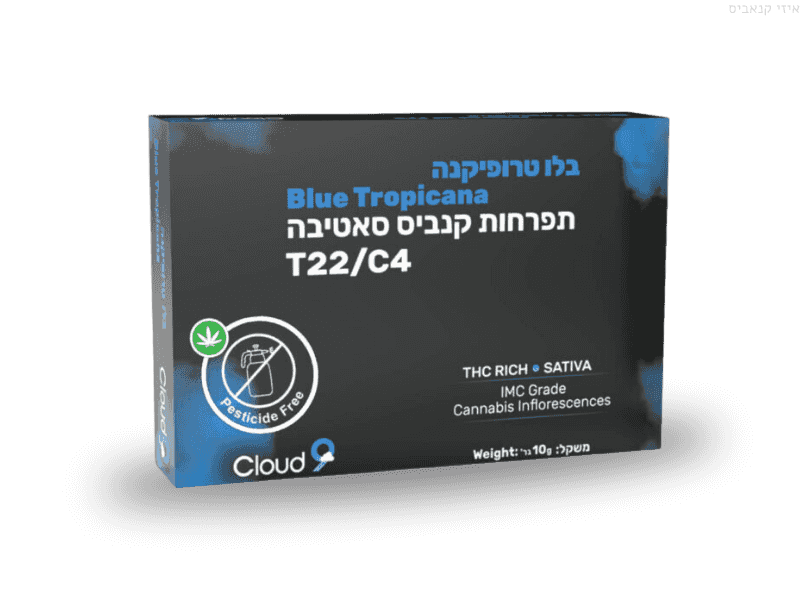 קנאביס רפואי תפרחת בלו טרופיקנה מיני - T22/C4 - Blue Tropicana Mini גרינקום יום - סאטיבה