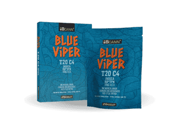 תפרחת ‮בלו וייפר‬‬‬ - T20/C4 - Blue Viper