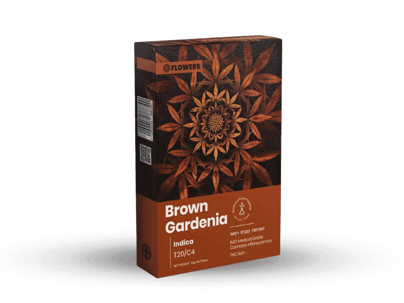 קנאביס רפואי תפרחת בראון גרדניה חומה - T20/C4 - Brown Gardenia טוגדר פארמה לילה - אינדיקה